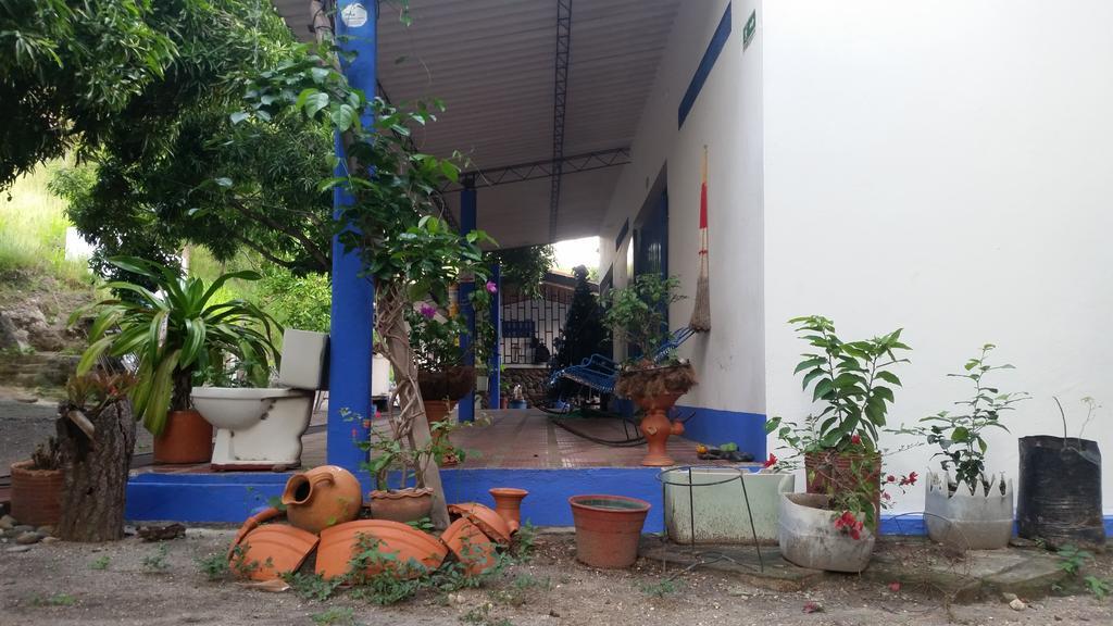 Hostal Amelie Honda (Tolima) Bagian luar foto